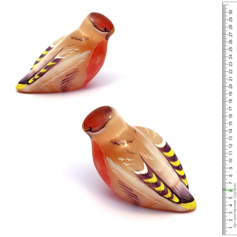 Свиристель